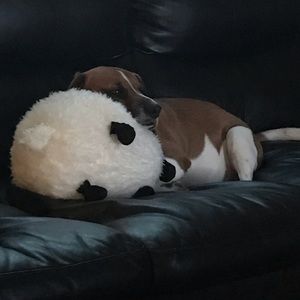 Meet your Posher, Crystal